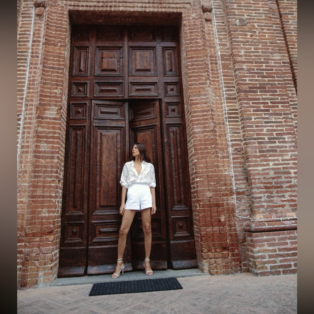 Zara Semi- Sheer top